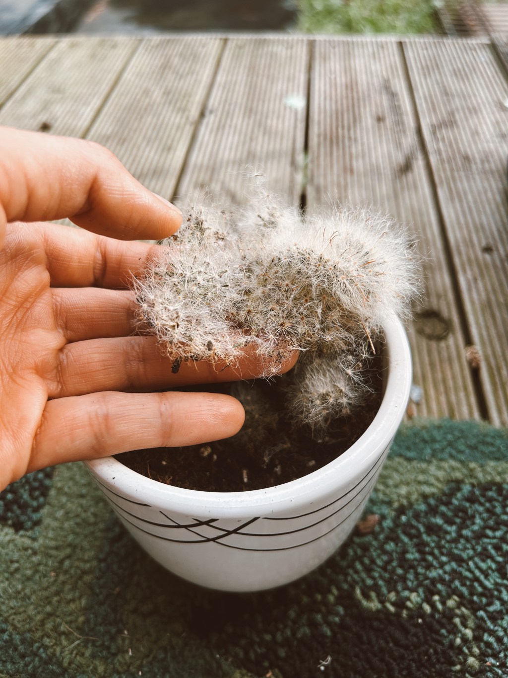 Cómo se ve el&nbsp;desamor?